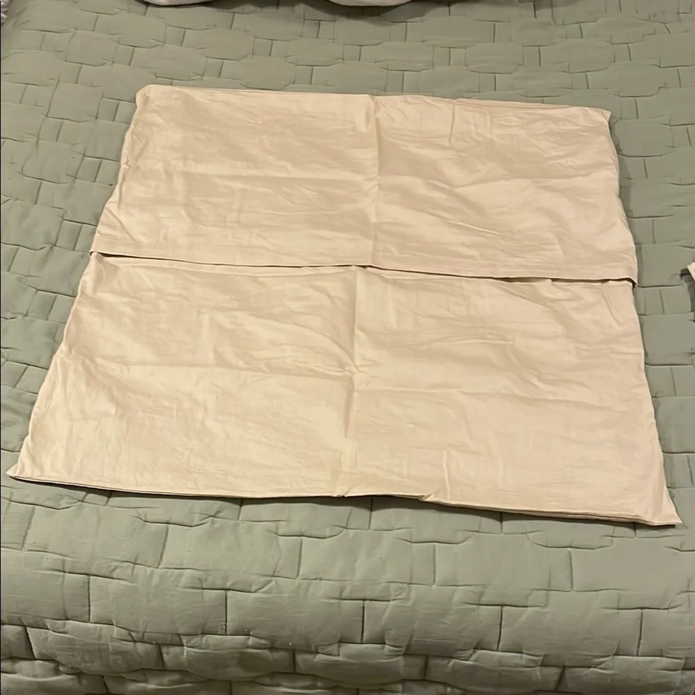 West Elm Euro Shams, Set of 2